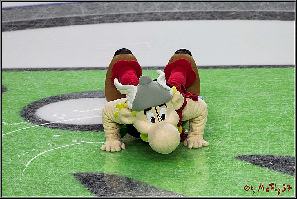 IIHF WM 2017, Slowakei - Deutschland, 10.05.2017